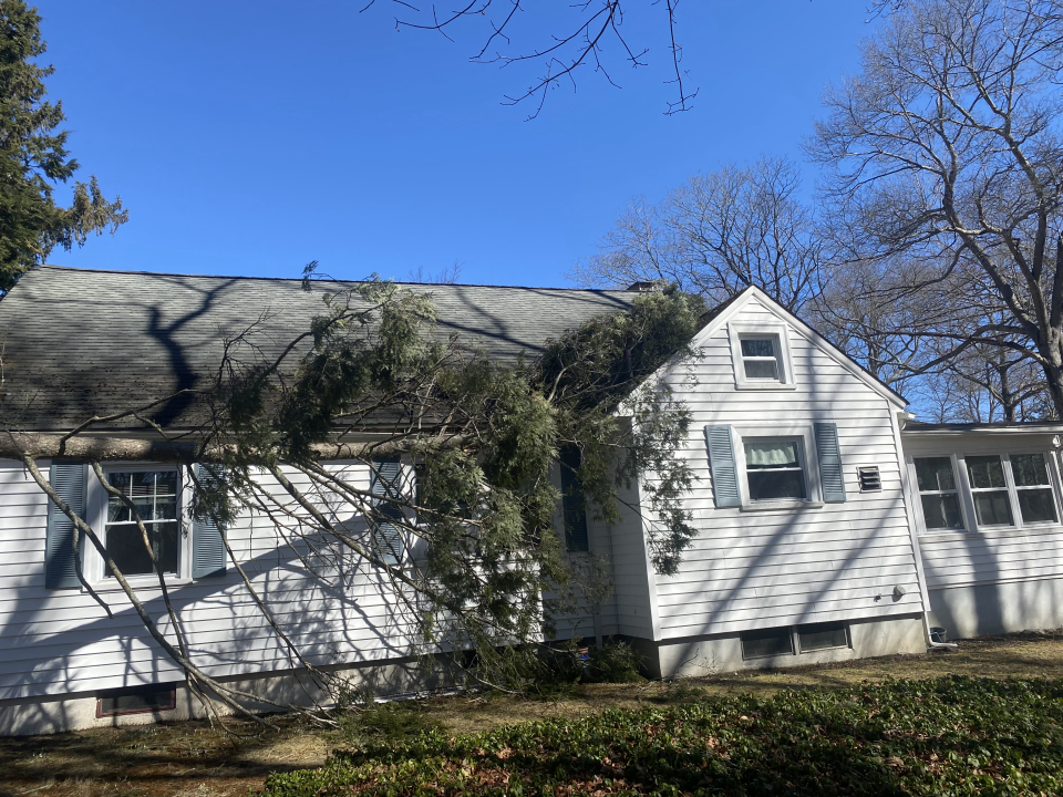 Reilly Tree & Landscape - Plainville, MA
