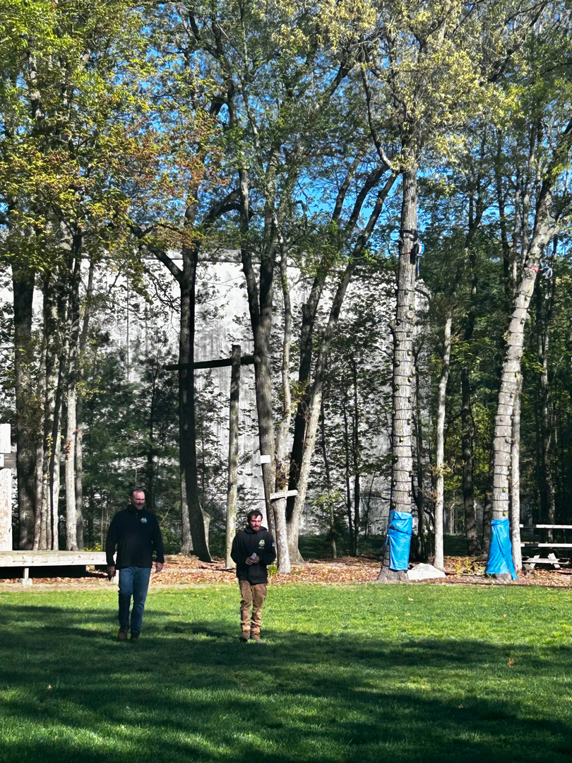 Reilly Tree & Landscape - Plainville, MA