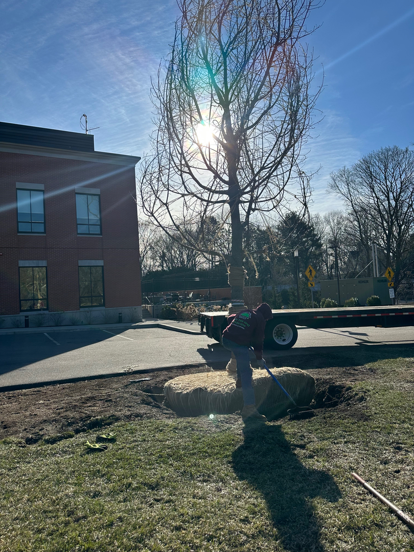 Reilly Tree & Landscape - Plainville, MA