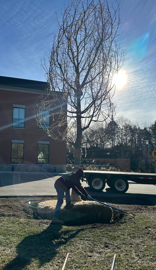 Reilly Tree & Landscape - Plainville, MA
