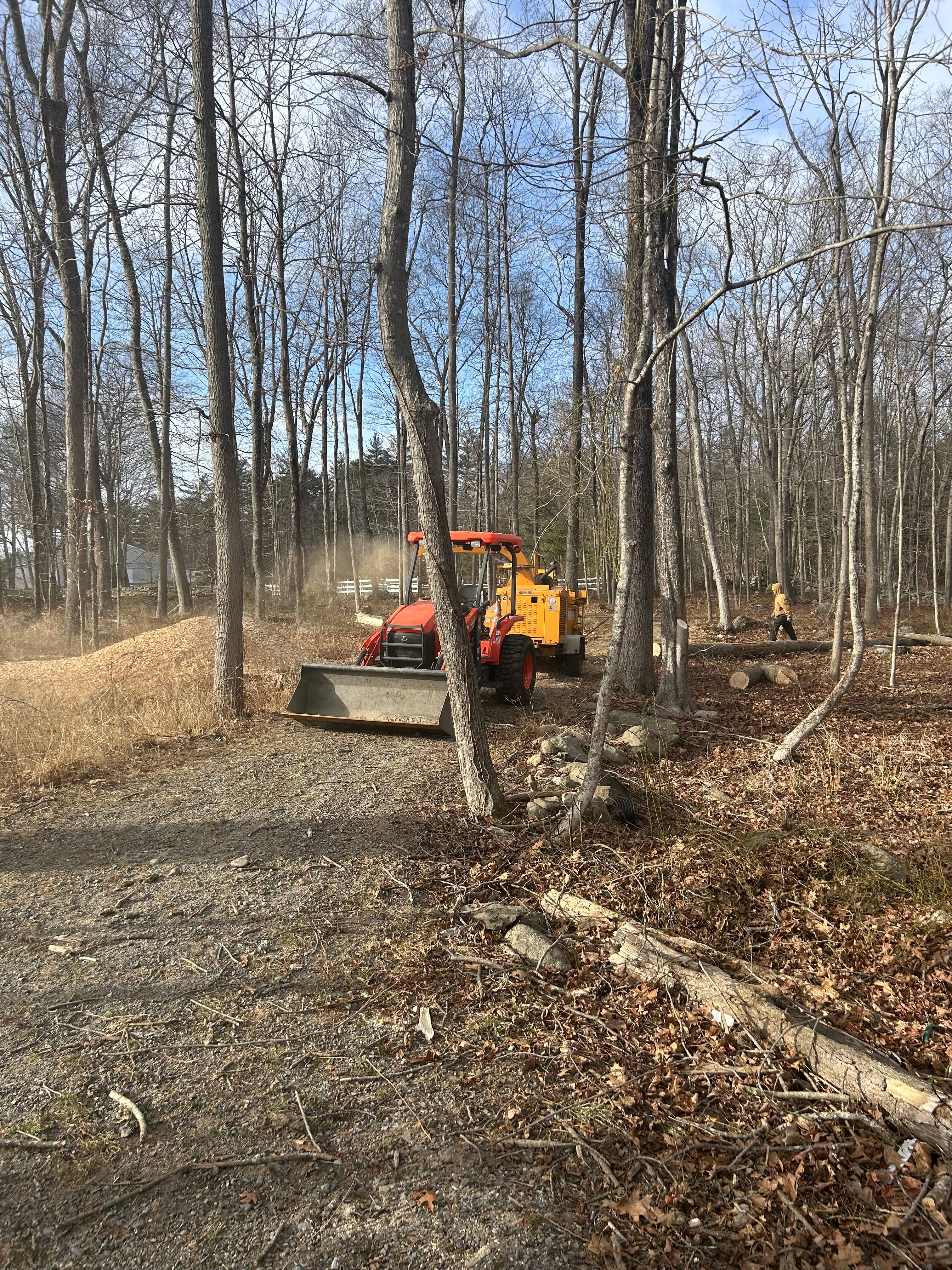 Reilly Tree & Landscape - Plainville, MA
