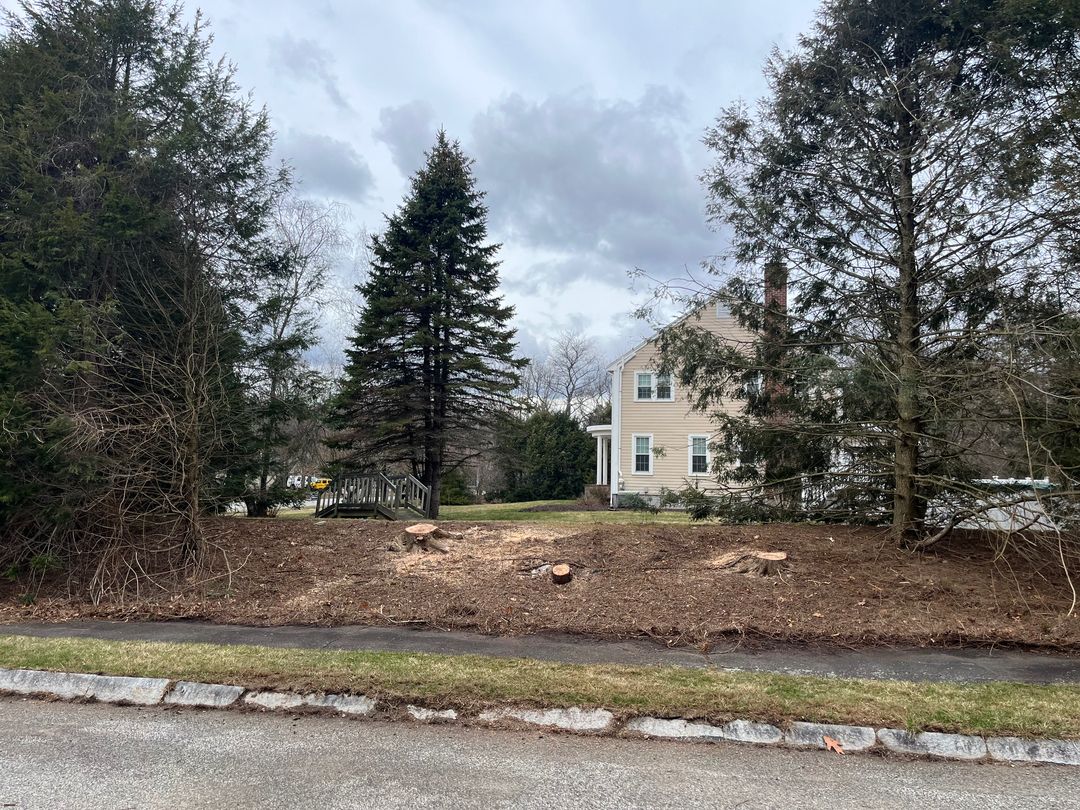 Reilly Tree & Landscape - Plainville, MA