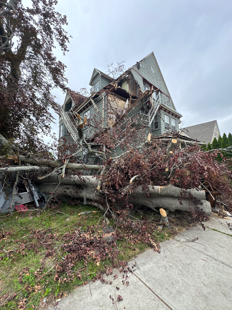 Reilly Tree & Landscape - Plainville, MA