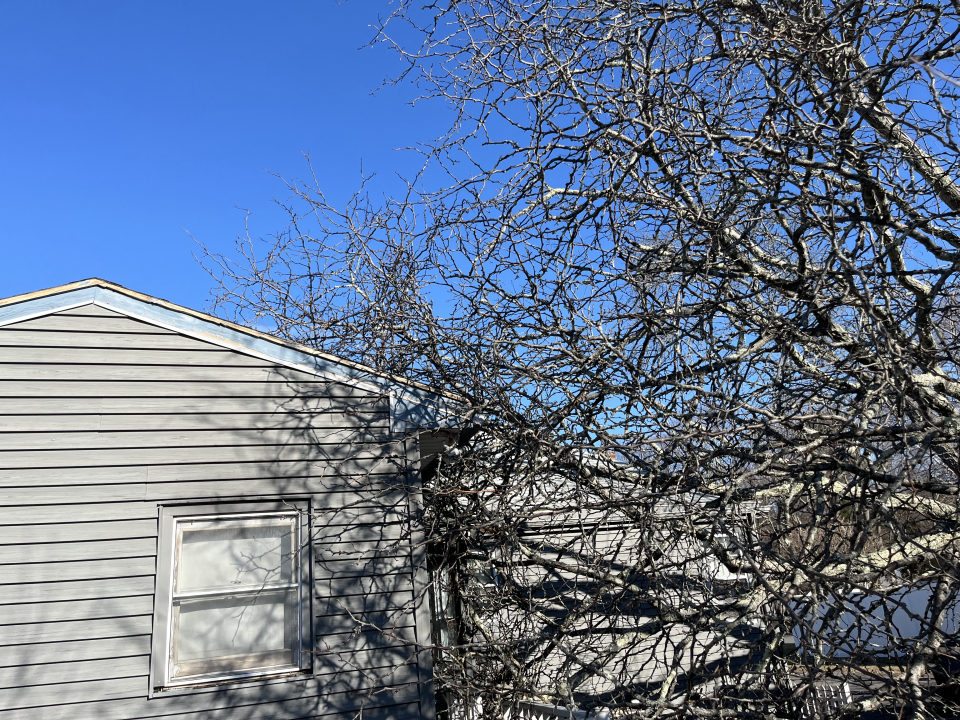 Reilly Tree & Landscape - Plainville, MA