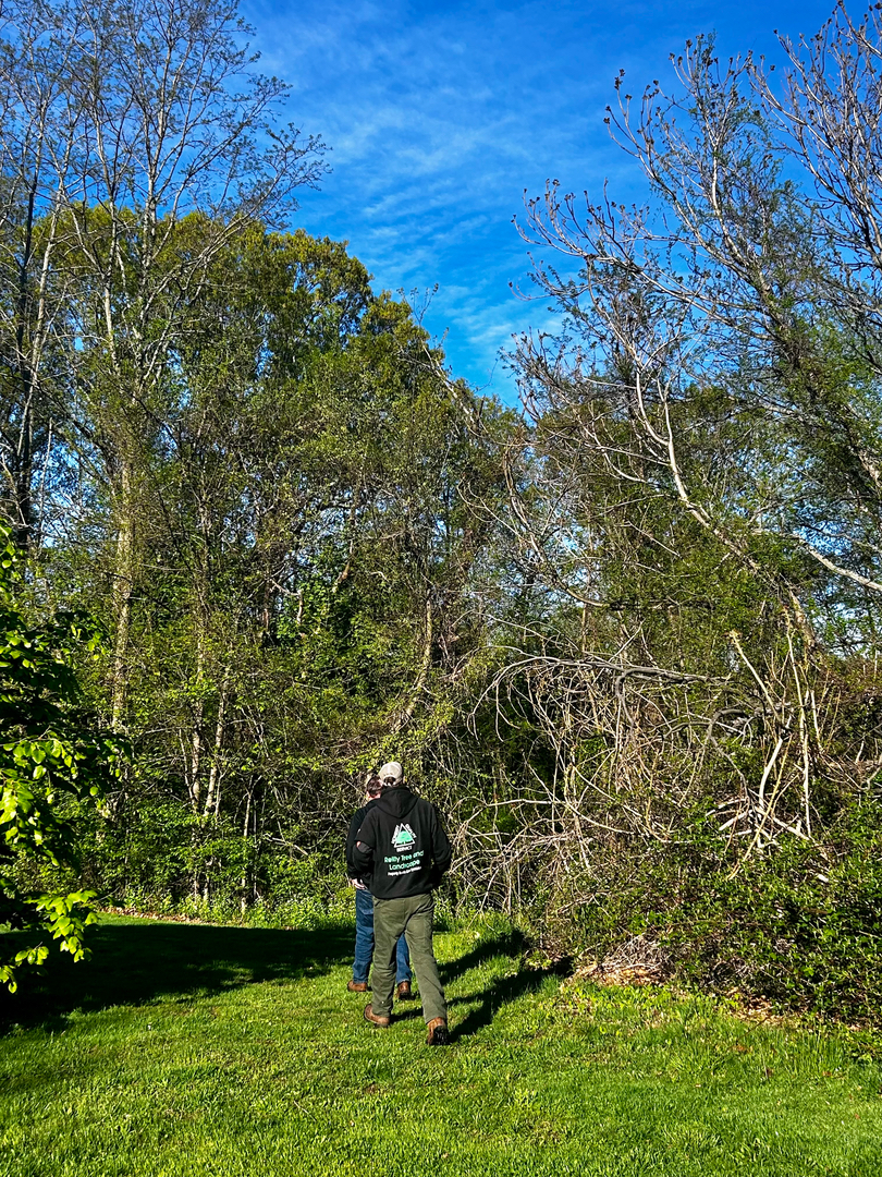 Reilly Tree & Landscape - Plainville, MA