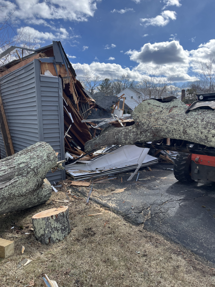Reilly Tree & Landscape - Plainville, MA