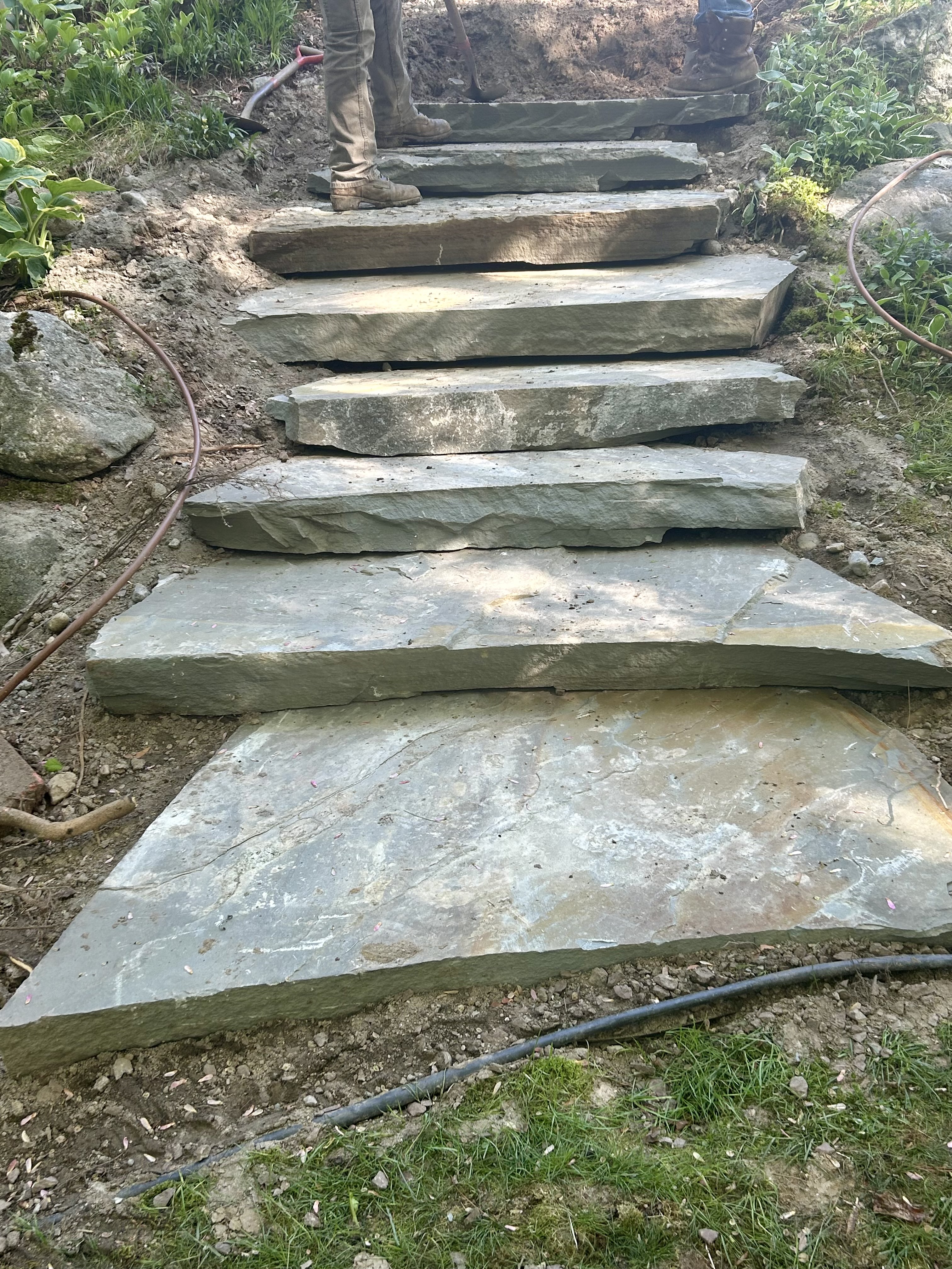 Reilly Tree & Landscape - Plainville, MA