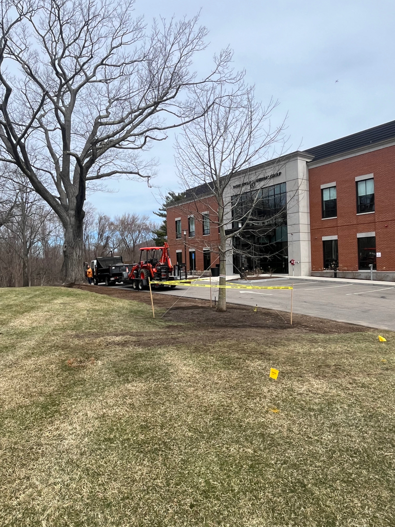 Reilly Tree & Landscape - Plainville, MA