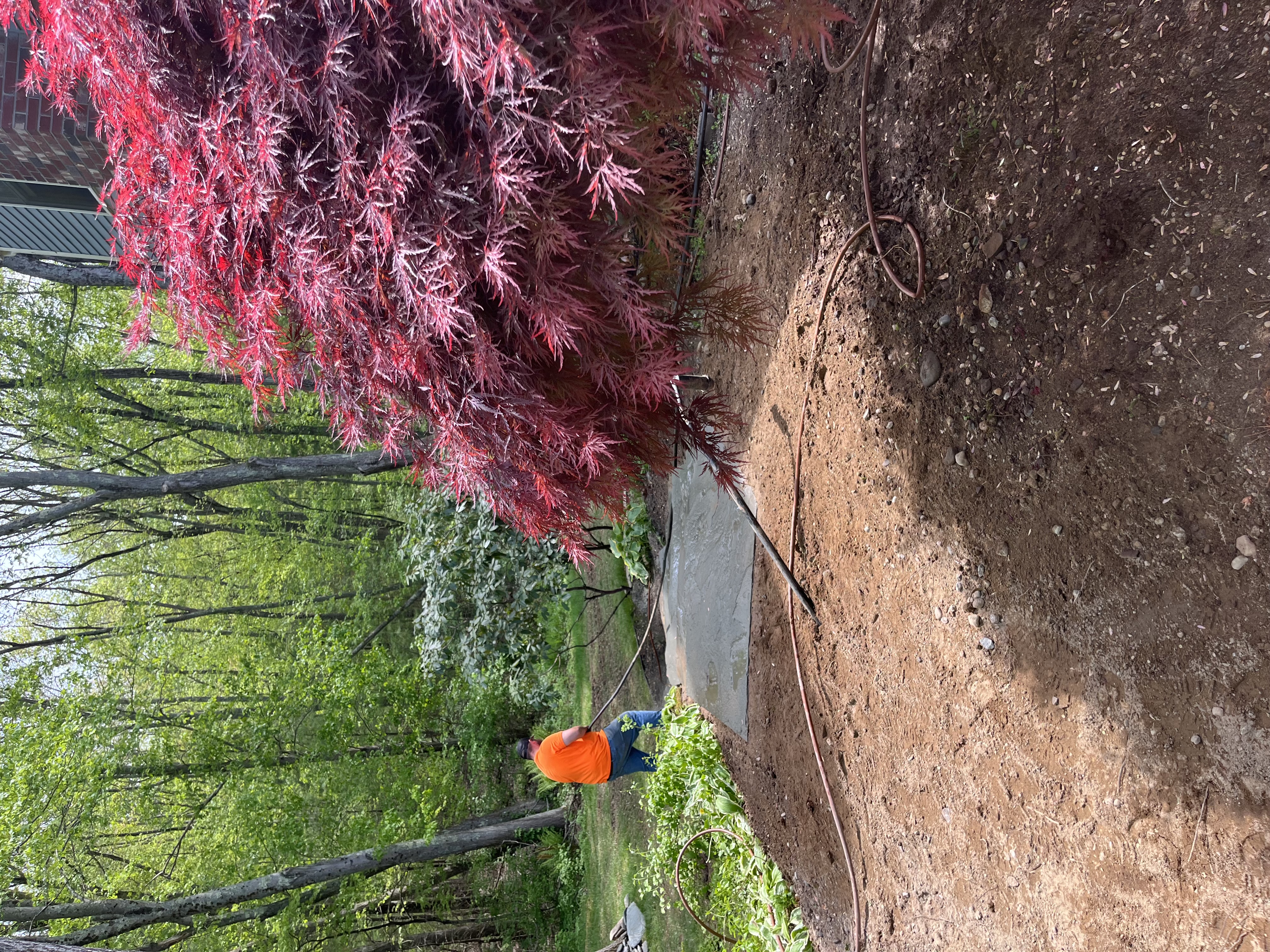 Reilly Tree & Landscape - Plainville, MA