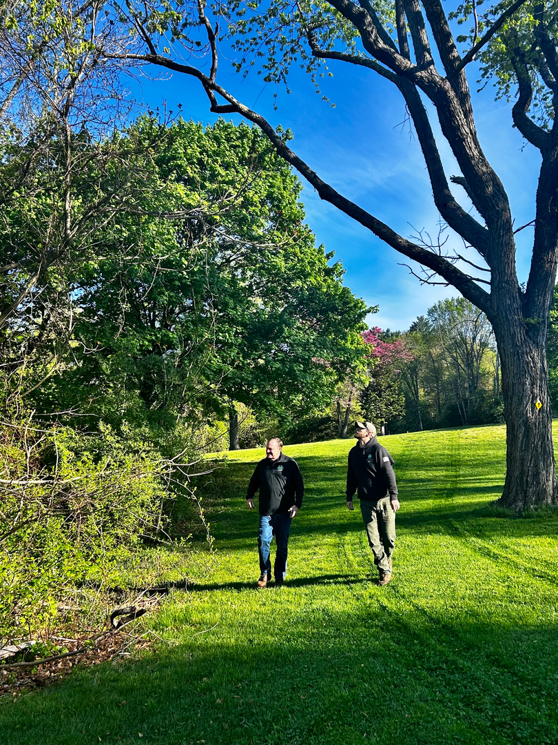 Reilly Tree & Landscape - Plainville, MA