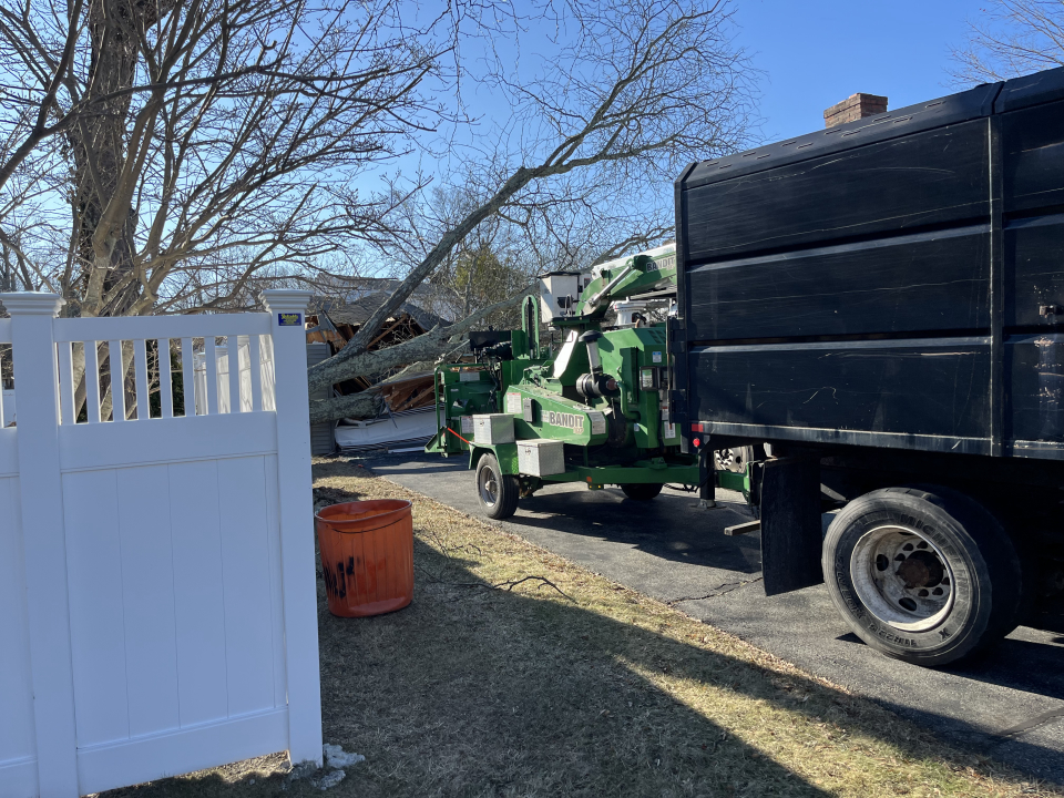 Reilly Tree & Landscape - Plainville, MA