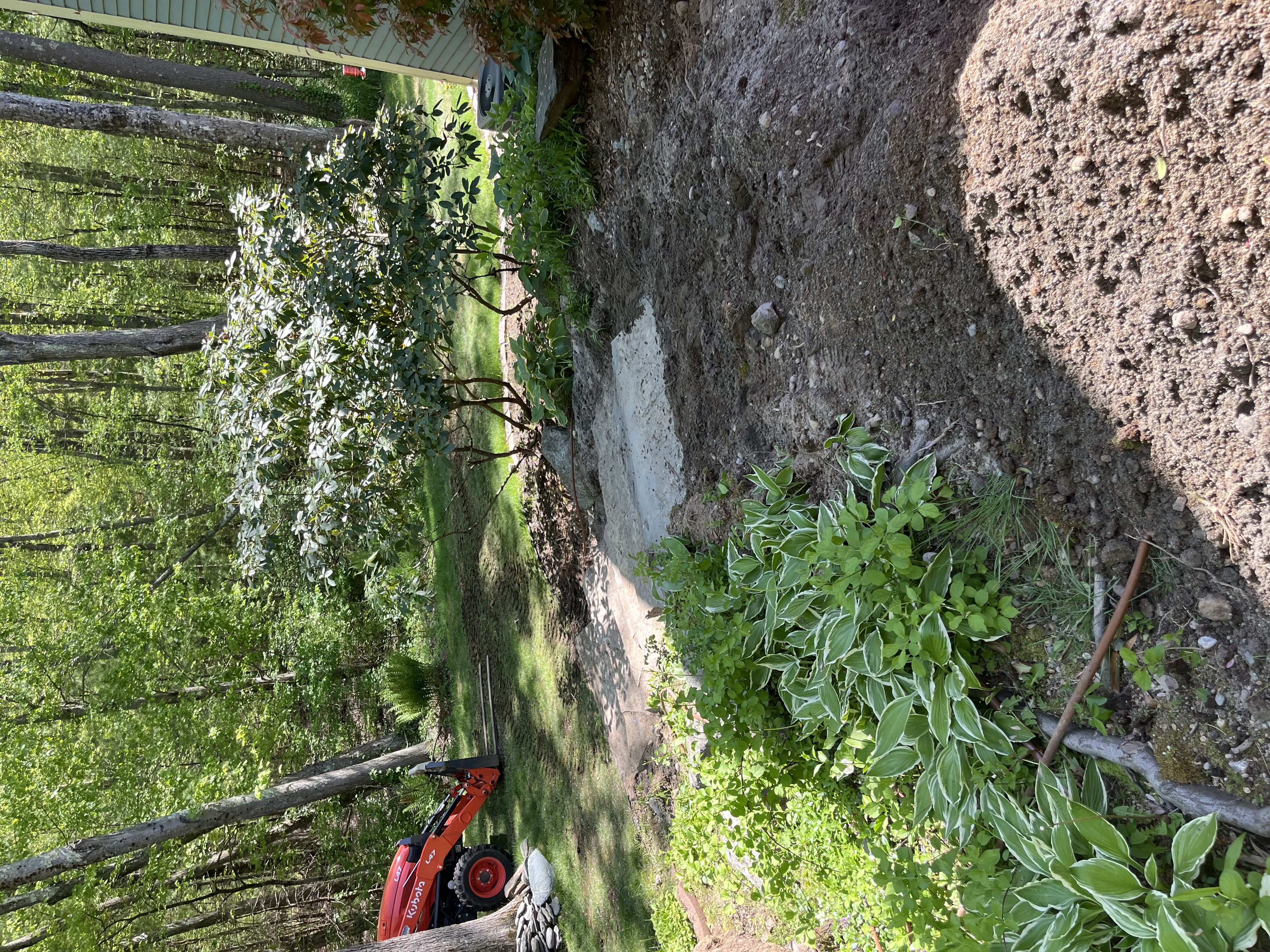 Reilly Tree & Landscape - Plainville, MA