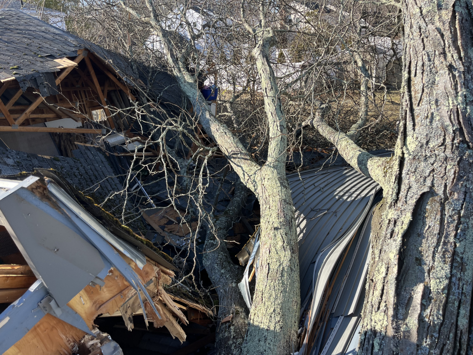 Reilly Tree & Landscape - Plainville, MA