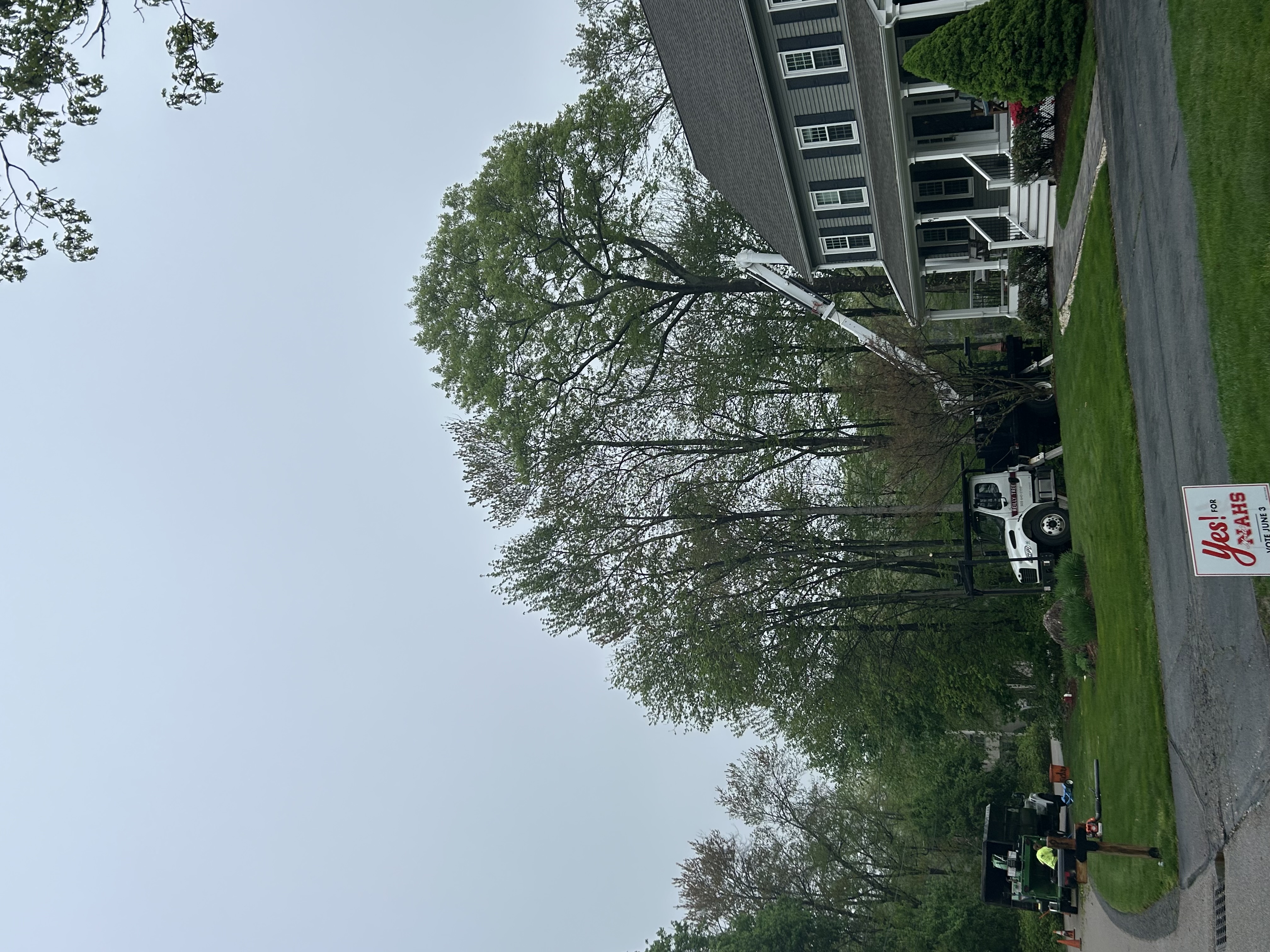 Reilly Tree & Landscape - Plainville, MA