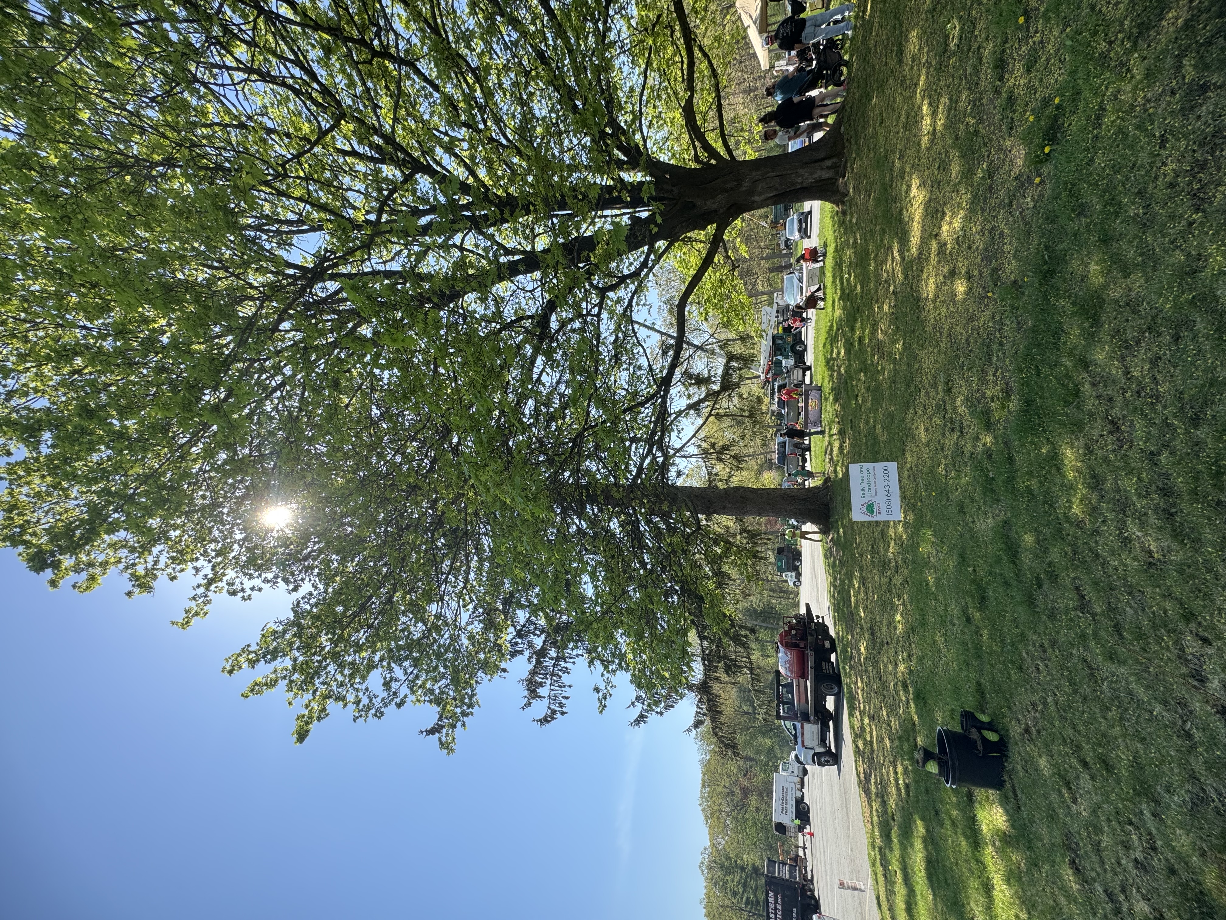 Reilly Tree & Landscape - Plainville, MA