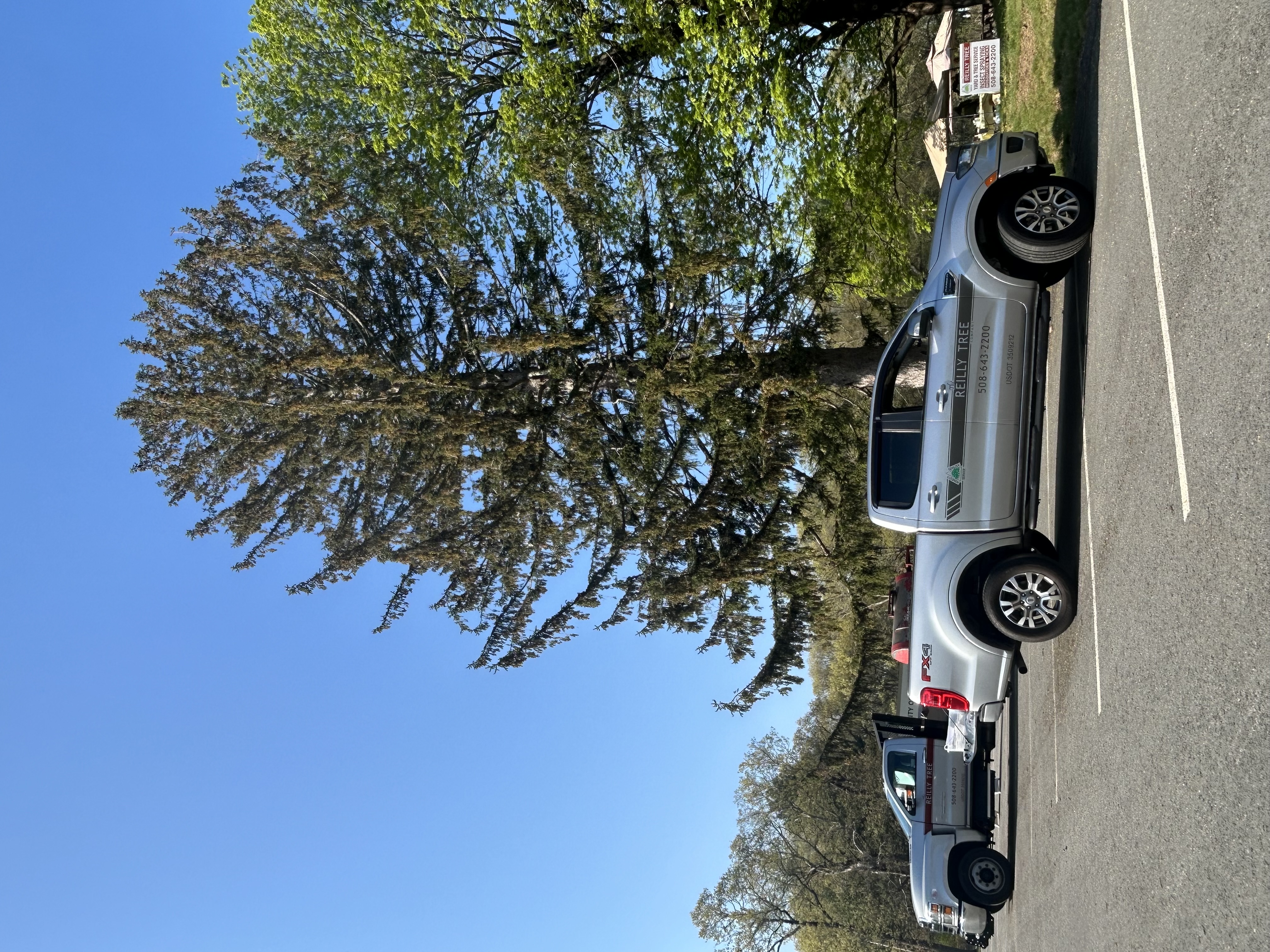 Reilly Tree & Landscape - Plainville, MA