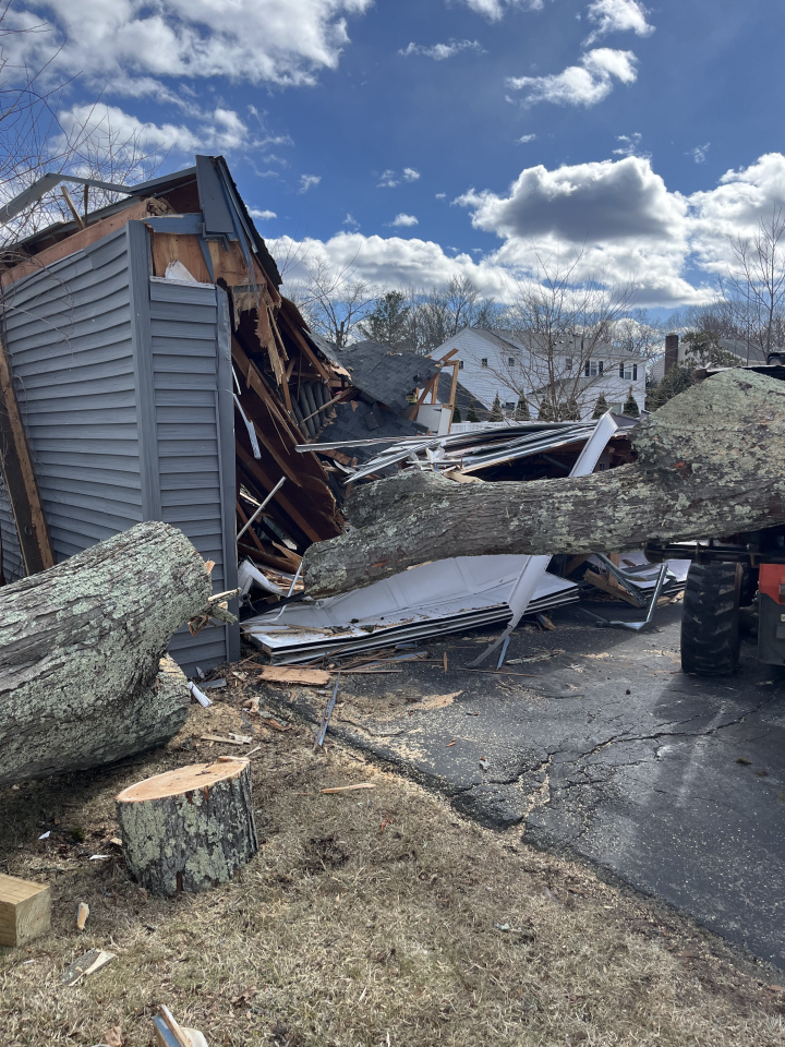 Reilly Tree & Landscape - Plainville, MA