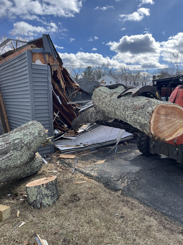 Reilly Tree & Landscape - Plainville, MA