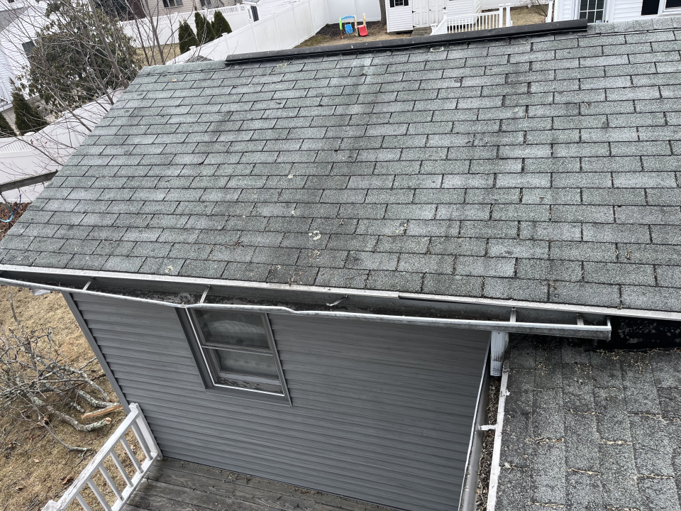 Reilly Tree & Landscape - Plainville, MA