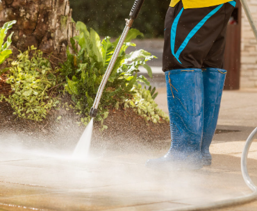 The 2 Clean Queens Image