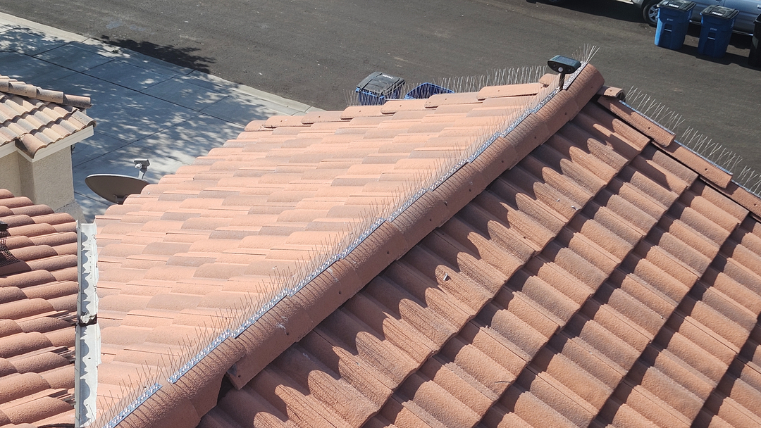 Barron's Solar Wash Company - Solar Panel Cleaning and Pigeon Proofing Image