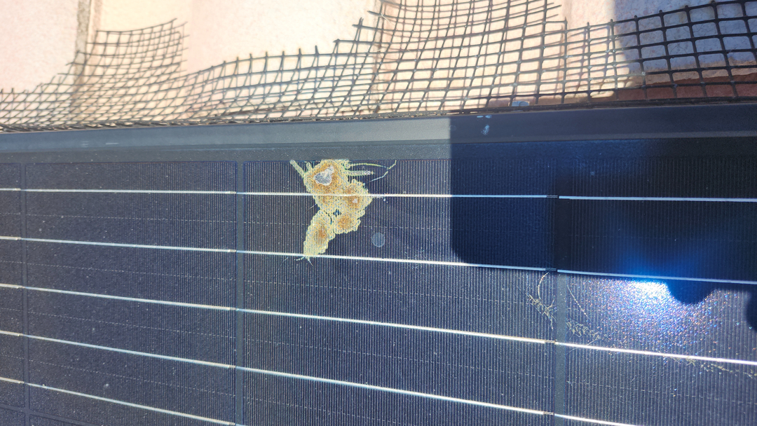 Barron's Solar Wash Company - Solar Panel Cleaning and Pigeon Proofing Image