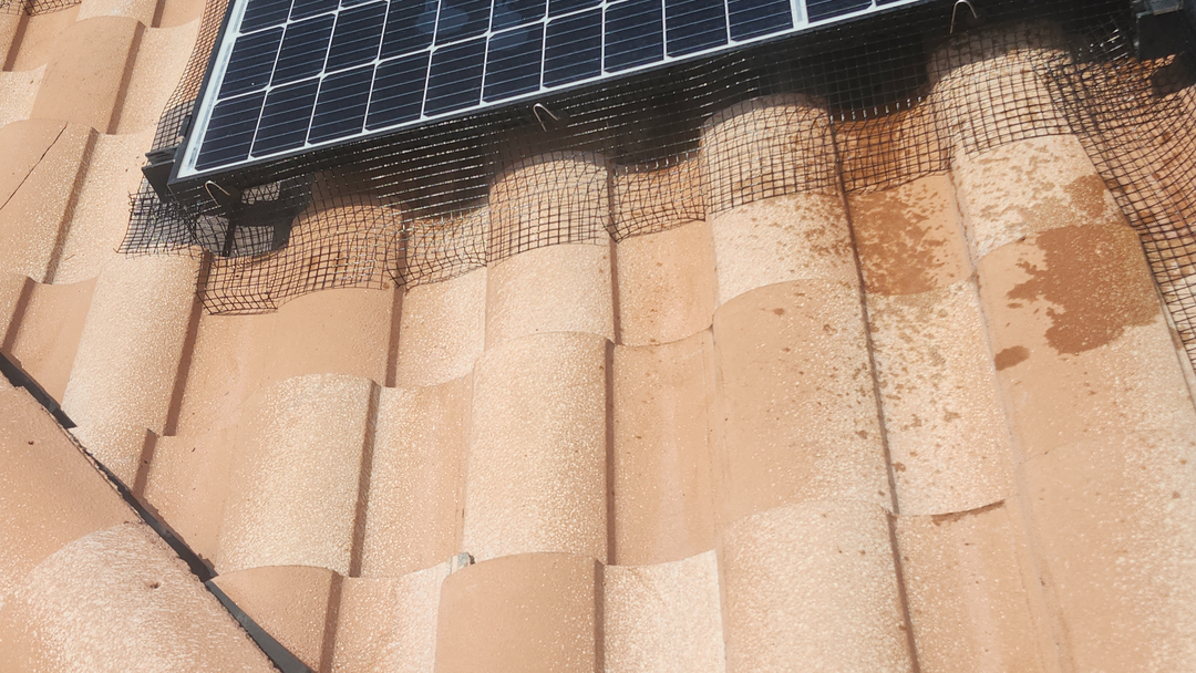 Barron's Solar Wash Company - Solar Panel Cleaning and Pigeon Proofing Image