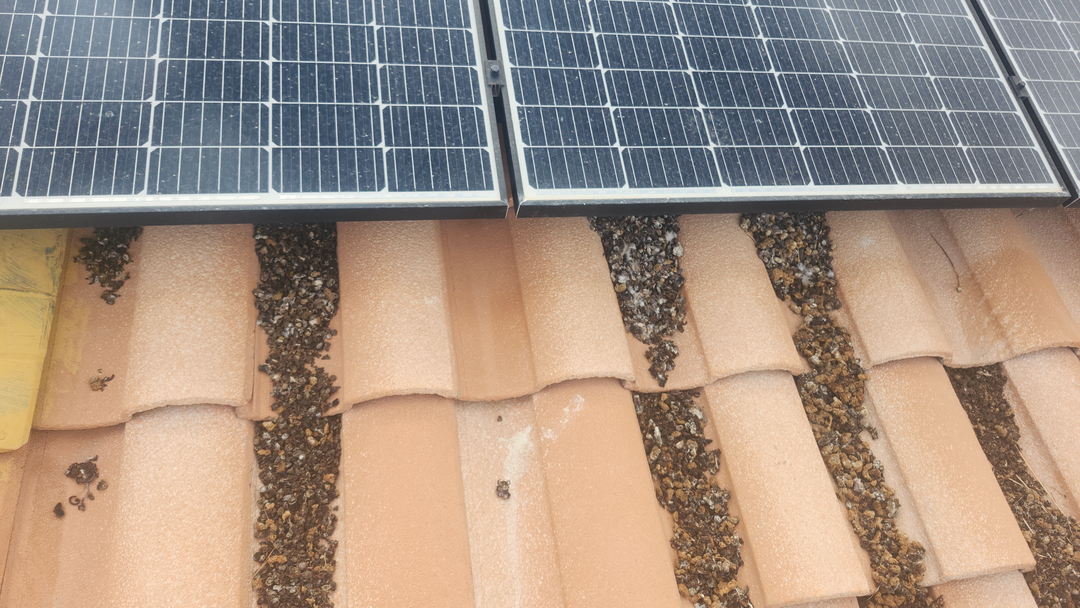Barron's Solar Wash Company - Solar Panel Cleaning and Pigeon Proofing Image
