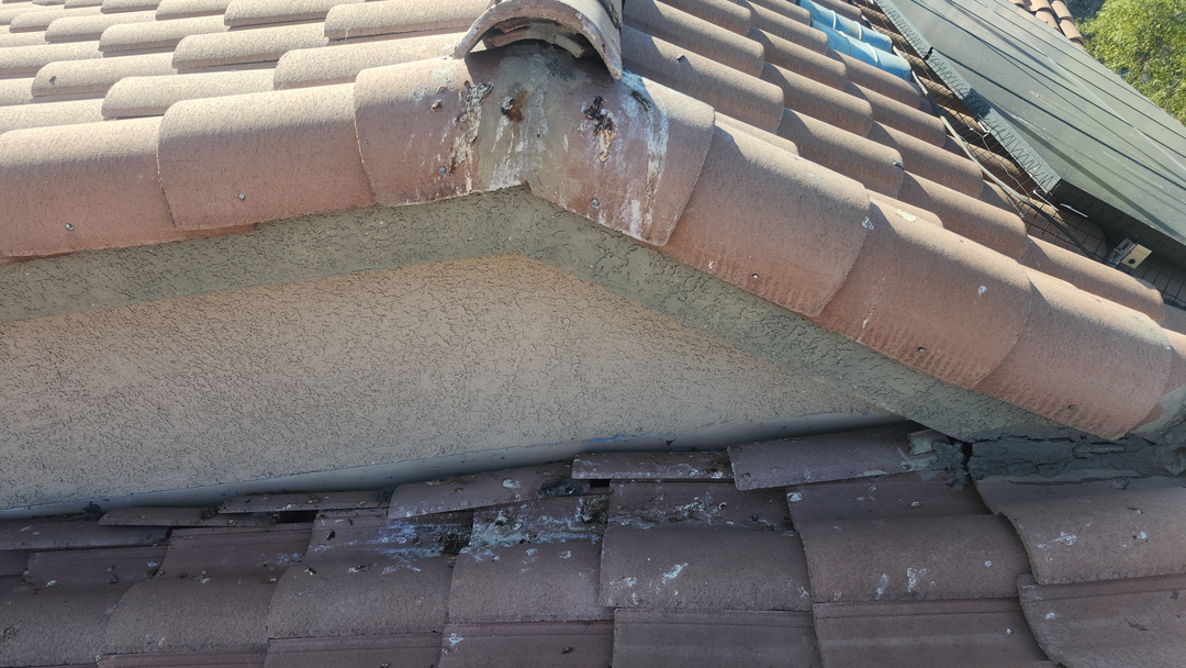 Barron's Solar Wash Company - Solar Panel Cleaning and Pigeon Proofing Image