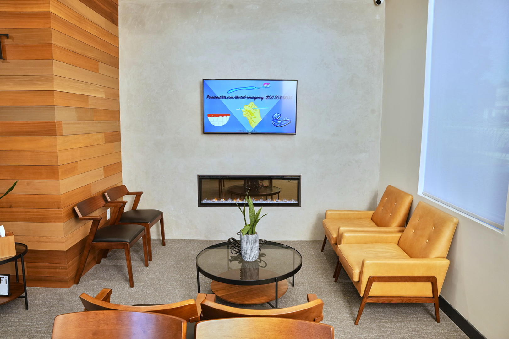 Dr. Tyler Williams: Pinecrest Dental Functional Dentistry, Implants and Biomimetic Bonding Image