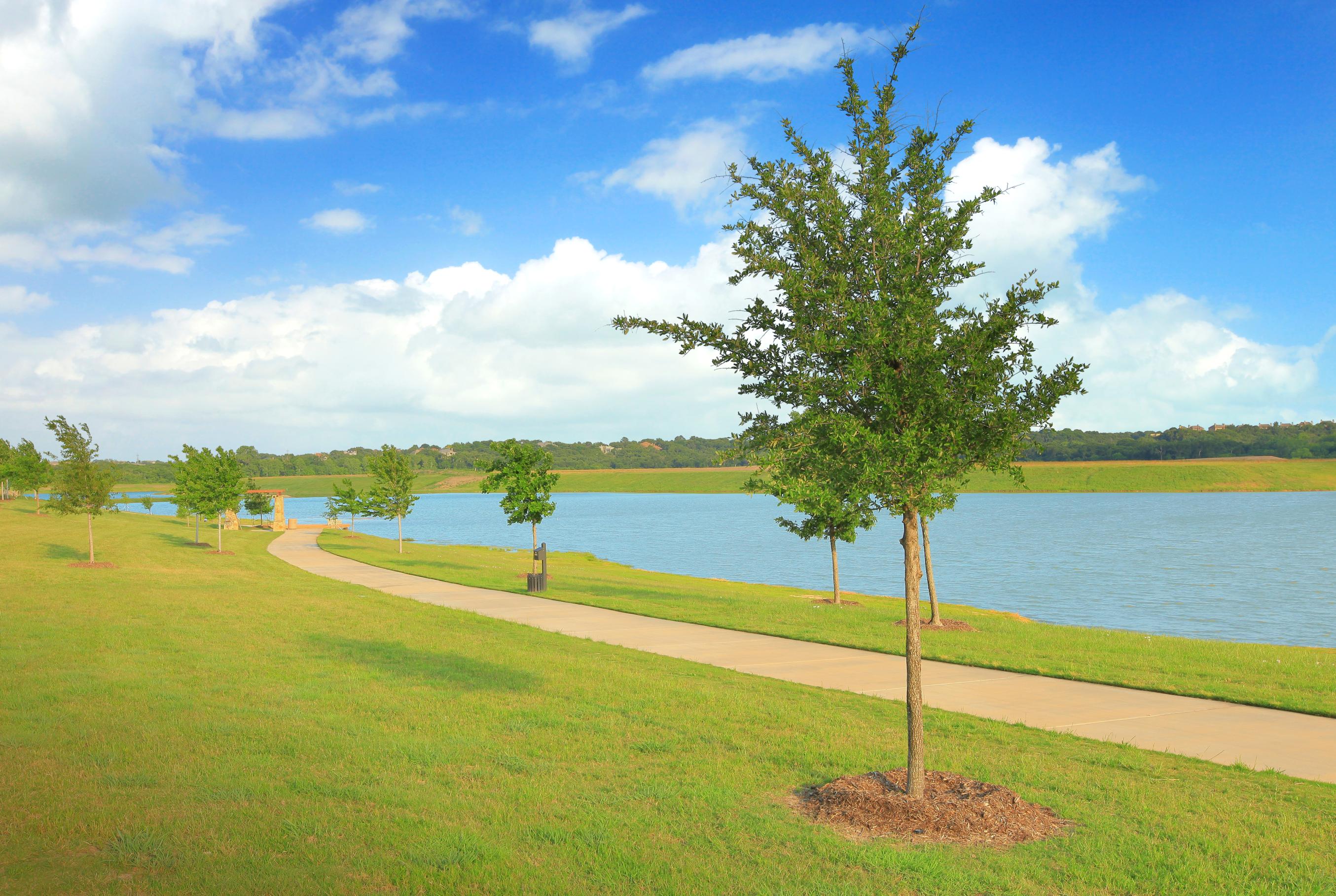 Drees Custom Homes at Viridian Elements Image