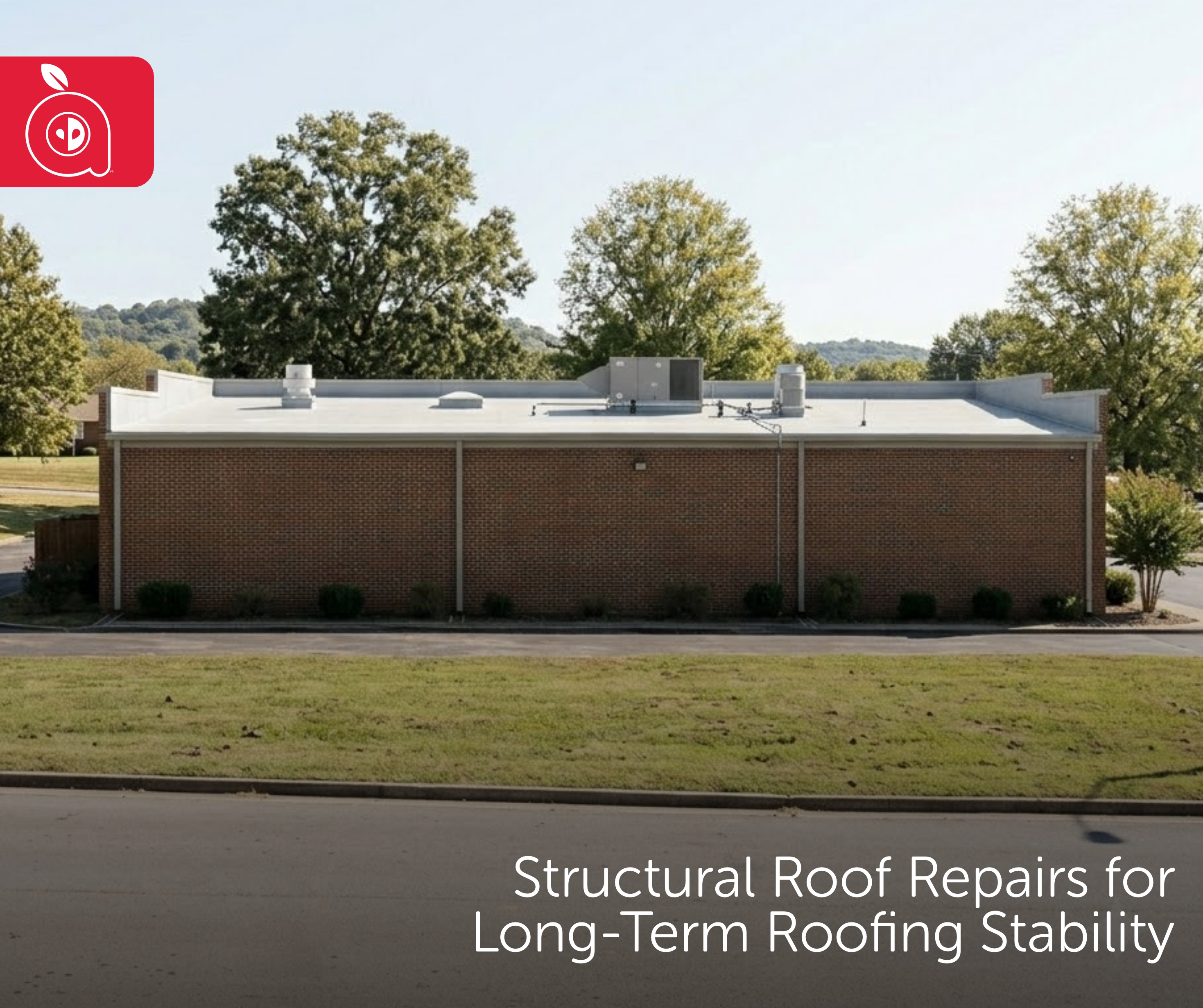 Apple Roofing Image