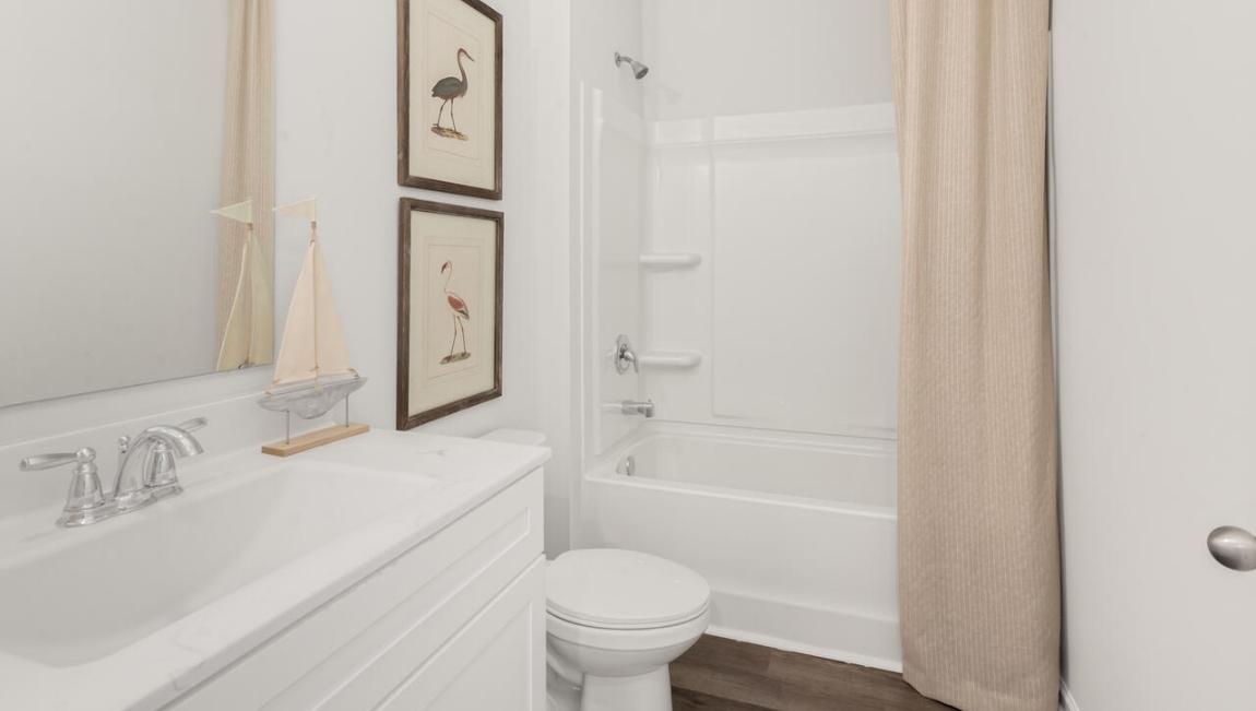 Vineyard Trail by D.R. Horton Image