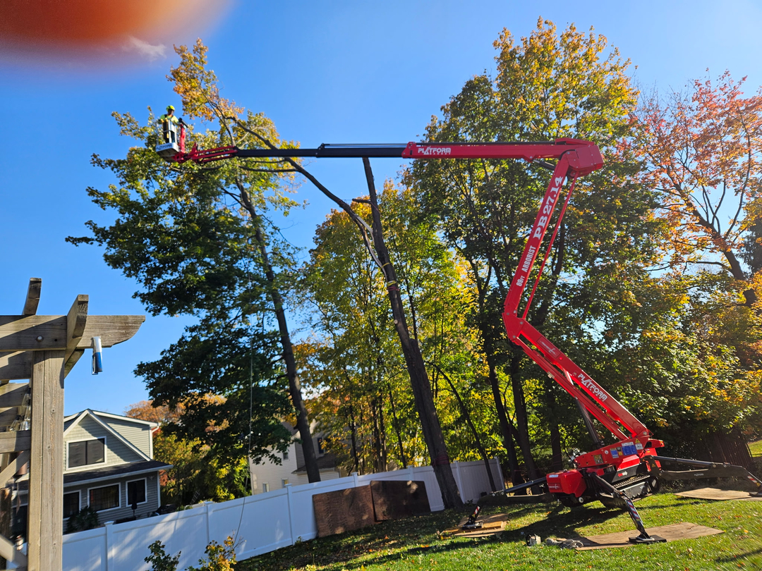 Fremgen Bros. Tree Service - Midland Park, NJ