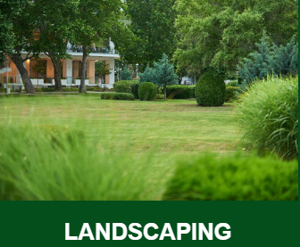Camelia Landscaping LLC Image