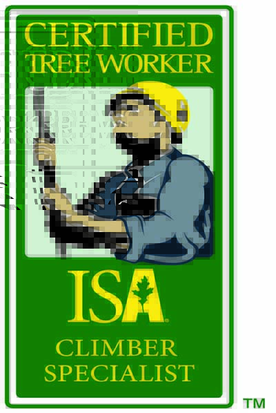 Idaho Tree Preservation Image