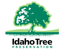 Idaho Tree Preservation Logo