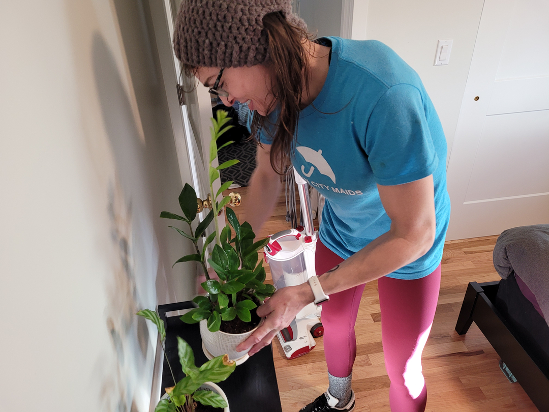 Rain City Maids of Seattle Image