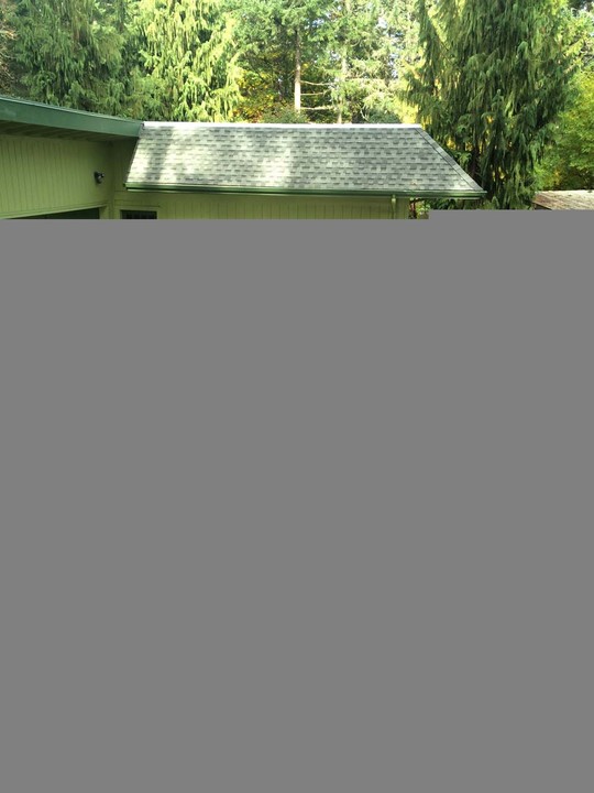 Royal Concrete Image