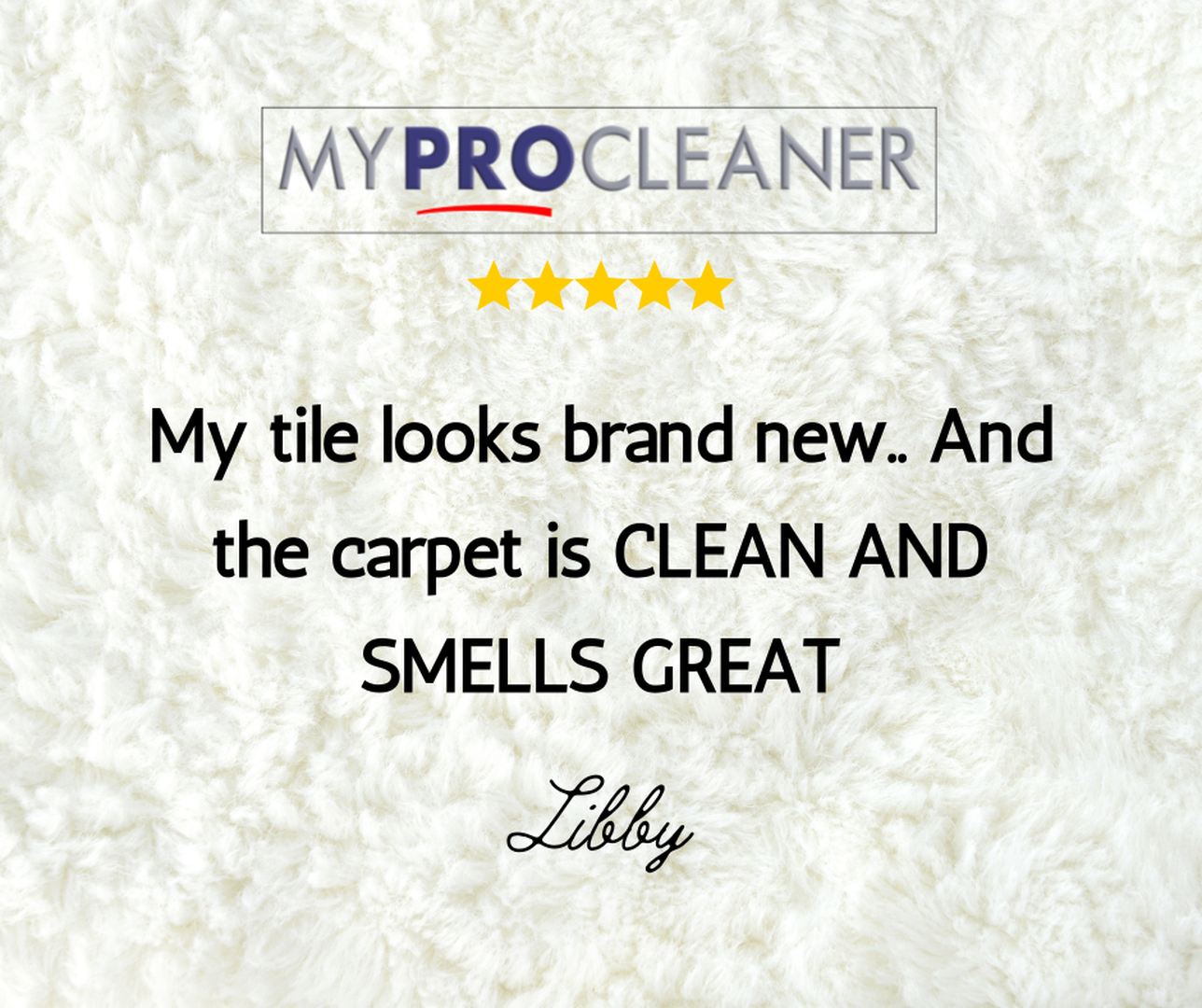 My Pro Cleaner Image