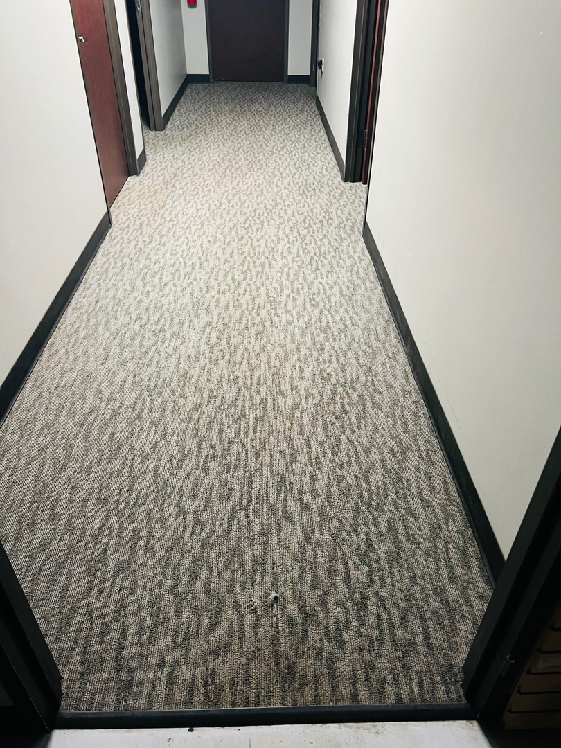 My Pro Cleaner Image