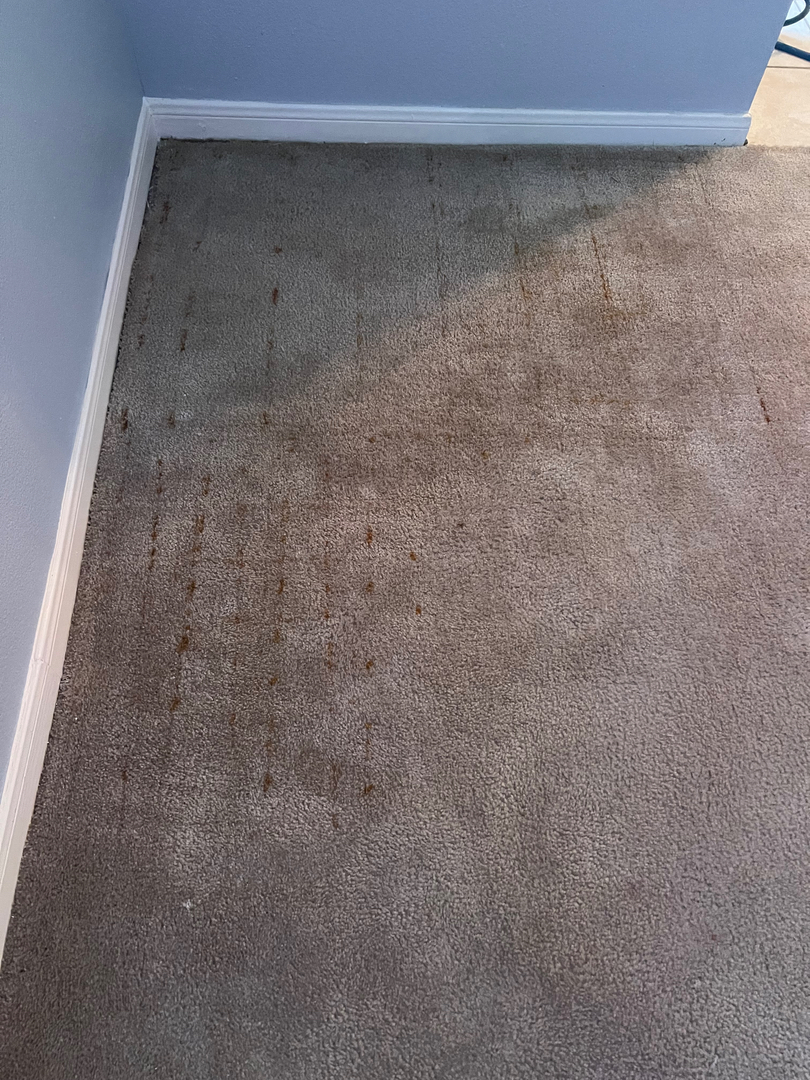 My Pro Cleaner Image