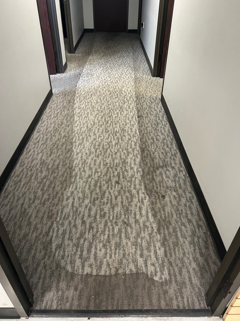 My Pro Cleaner Image