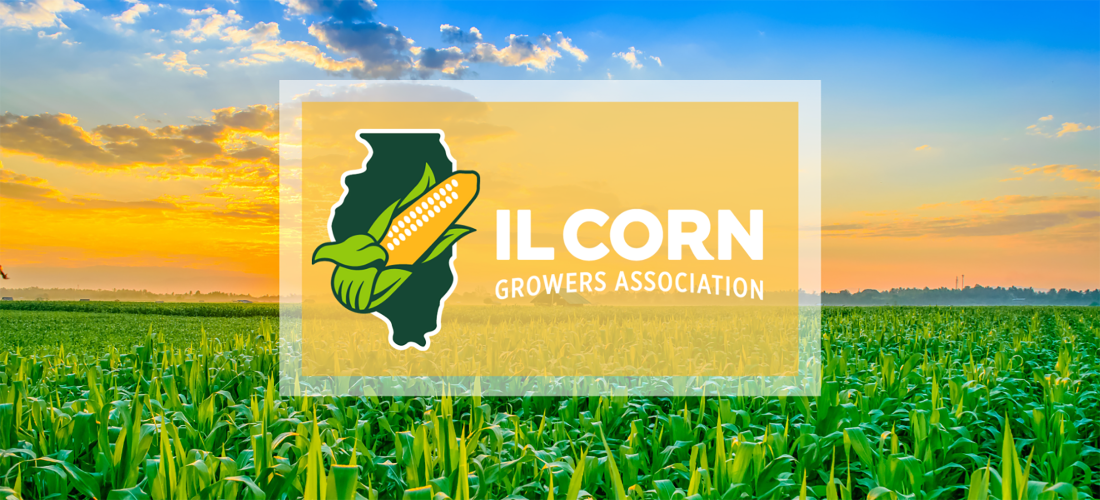IL Corn / Illinois Corn Marketing Board Image