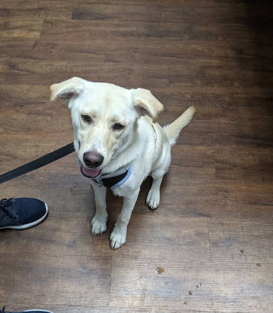 Family Friends Veterinary Hospital Image