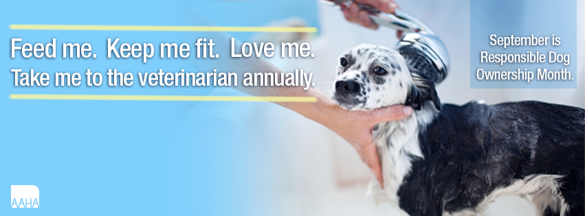 Family Friends Veterinary Hospital Image