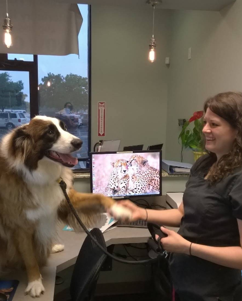 Family Friends Veterinary Hospital Image