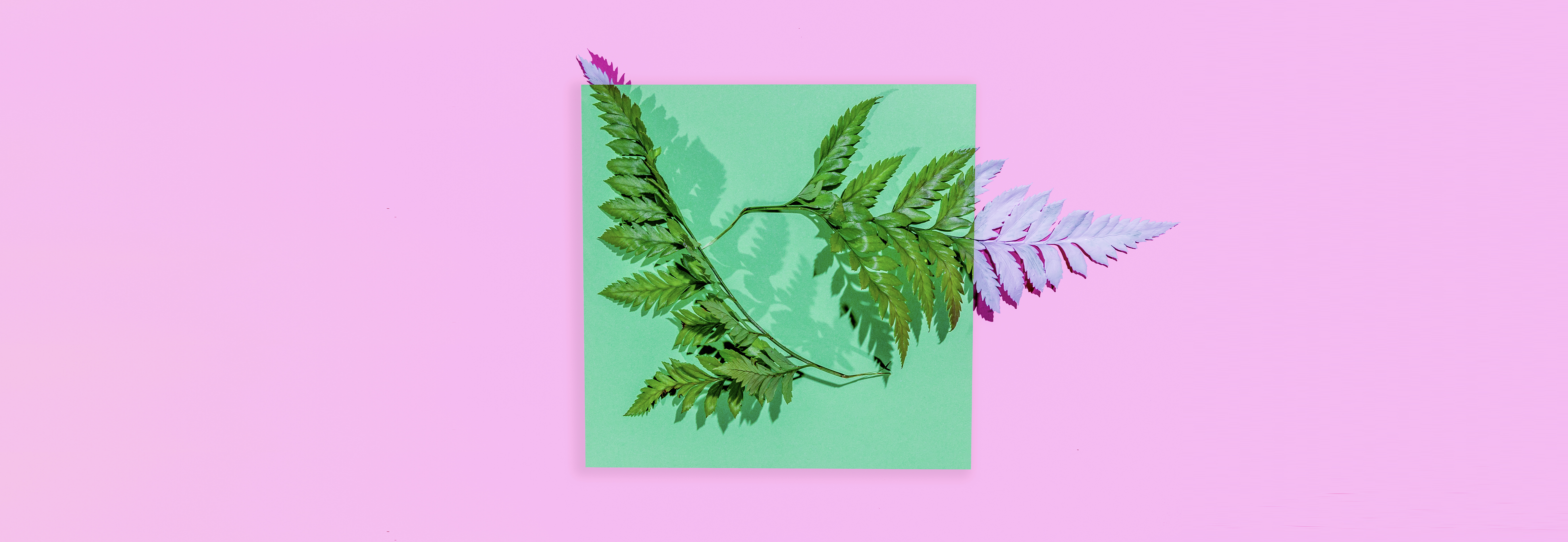 Lukas Weiss Product Photography & Art Image