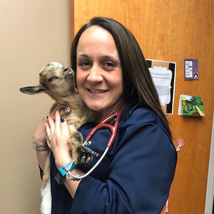 Hometown Veterinary Services LLC - Amston, CT