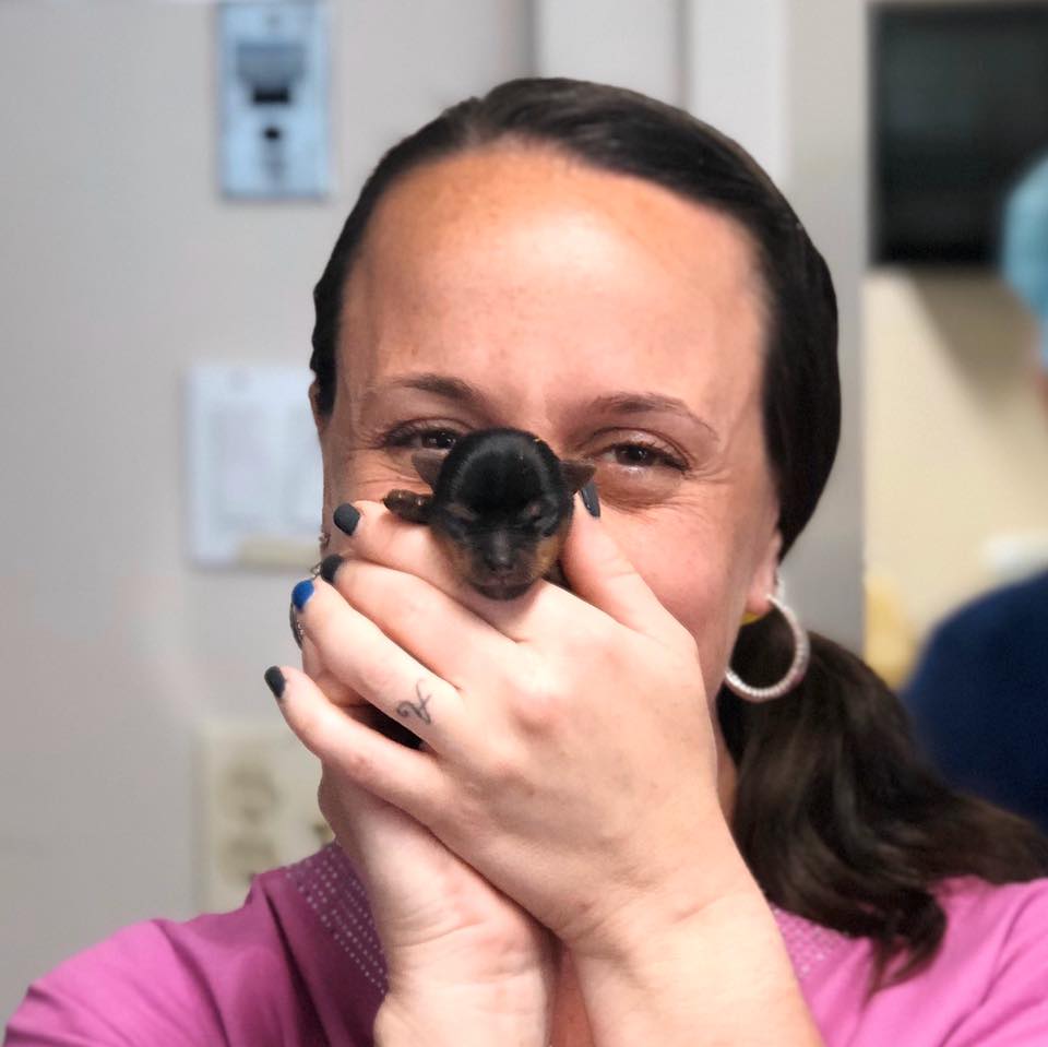 Hometown Veterinary Services LLC - Amston, CT